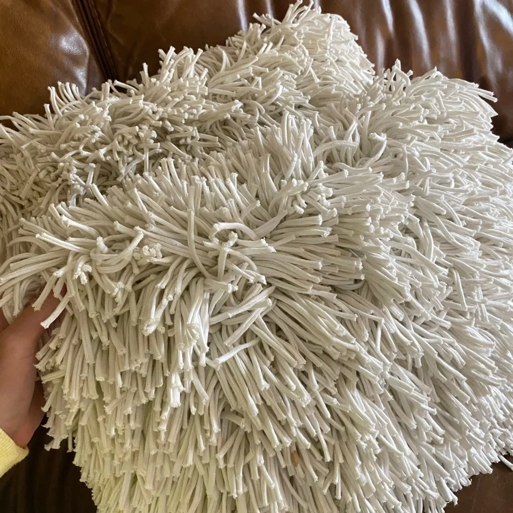 Crate & Barrel Remy Cotton Pillow & Case Cover X2
